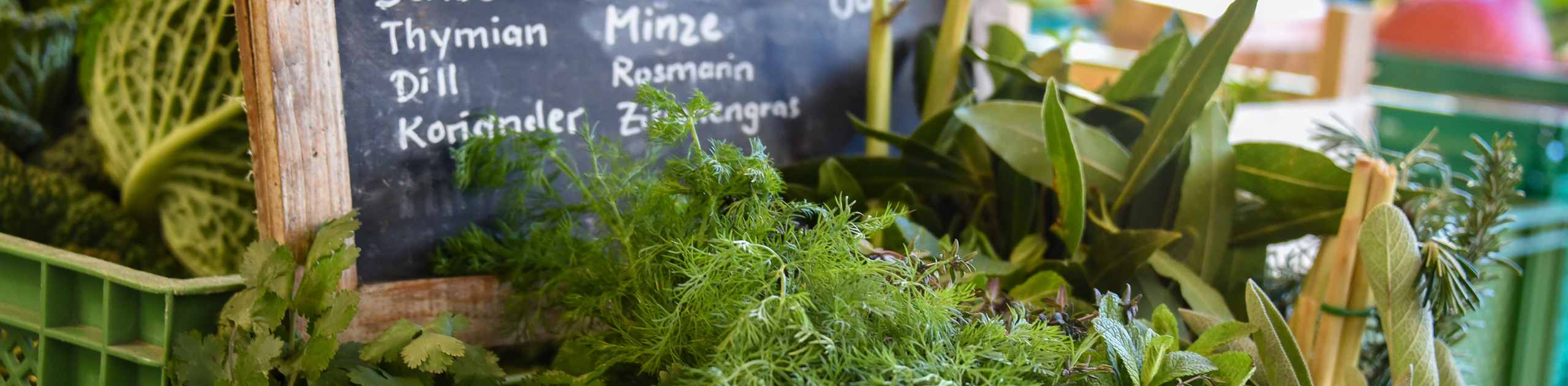 Alternativtext der Kopfgrafik (Bitte ausfüllen)