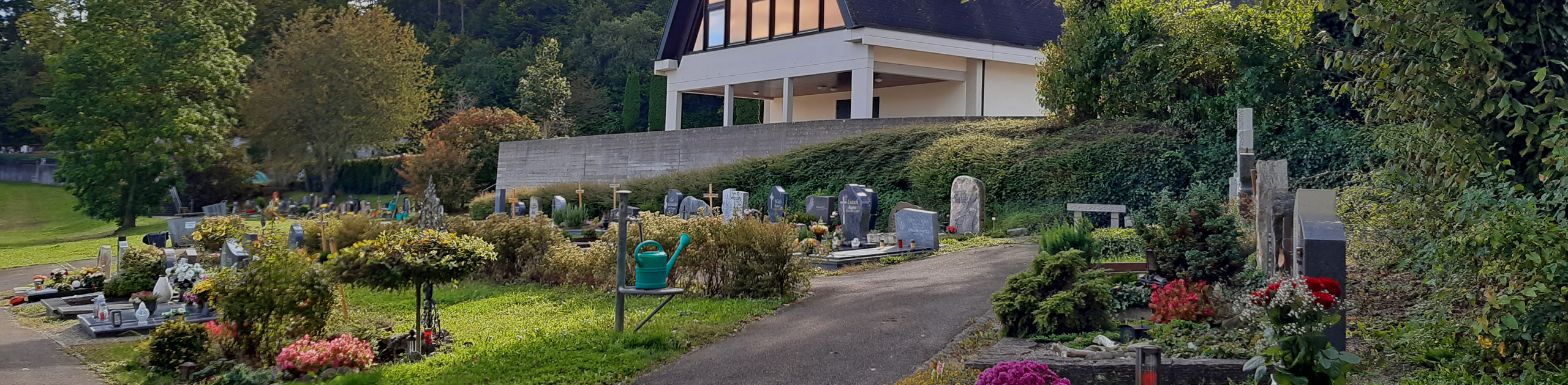 Alternativtext der Kopfgrafik (Bitte ausfüllen)