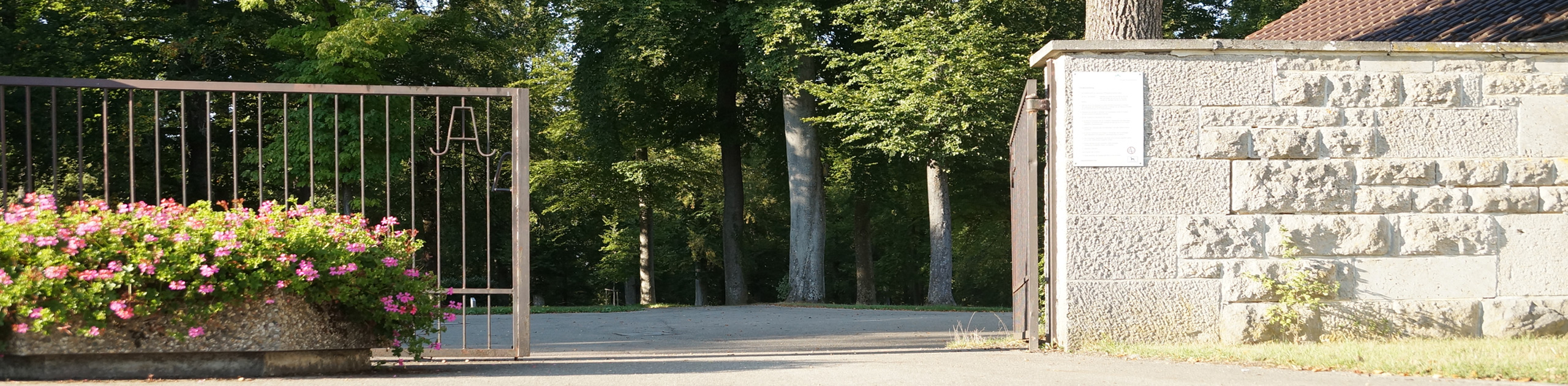 Alternativtext der Kopfgrafik (Bitte ausfüllen)