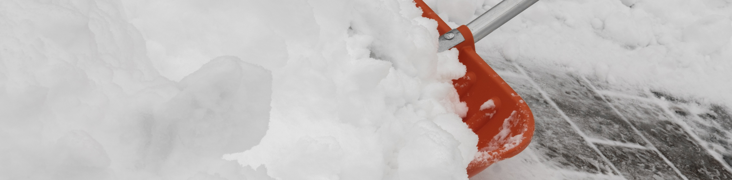 Alternativtext der Kopfgrafik (Bitte ausfüllen)