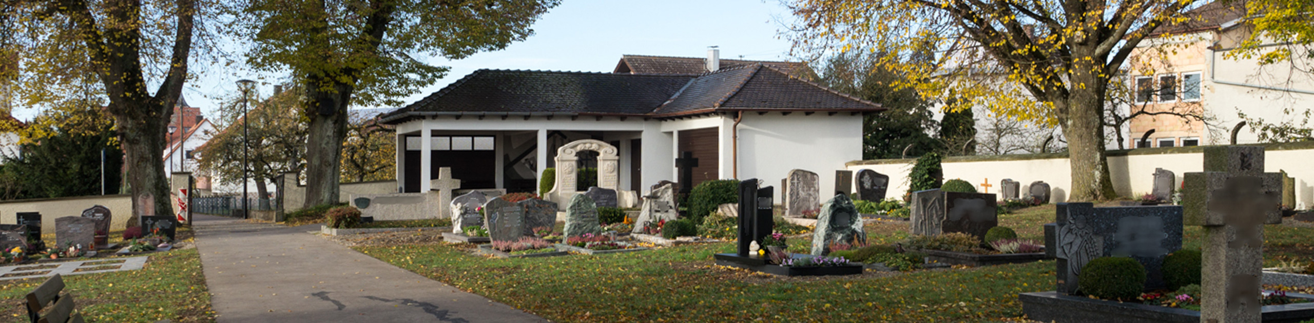 Alternativtext der Kopfgrafik (Bitte ausfüllen)