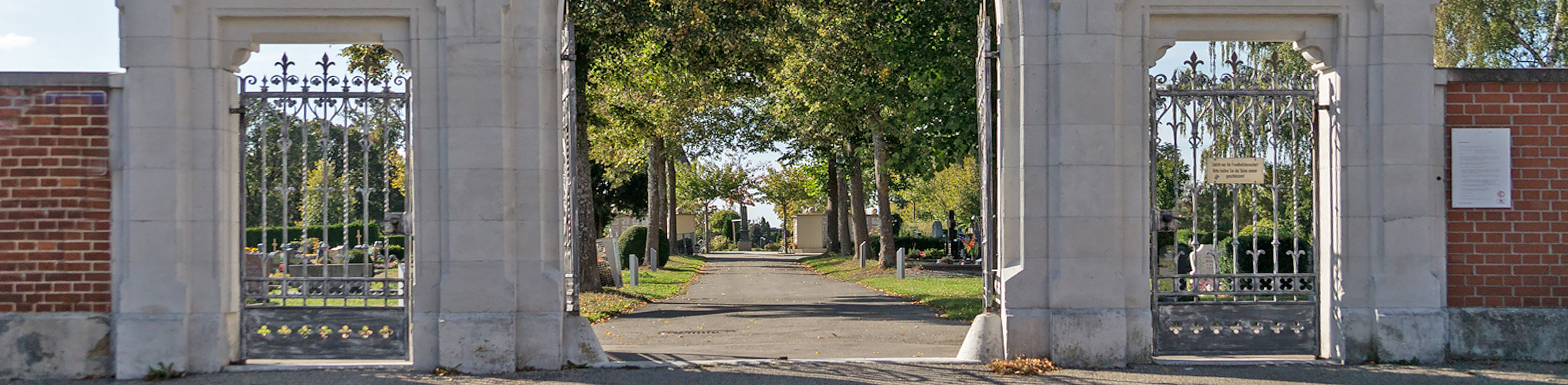 Alternativtext der Kopfgrafik (Bitte ausfüllen)