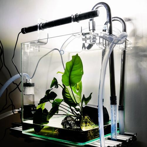 Valentinsführung im Kunstmuseum, Abbildung: Tatjana Vall, Morning Rose (styx), Ausstellungsansicht © Tatjana Vall Valentinsführung im Kunstmuseum, Abbildung: Tatjana Vall, Morning Rose (styx), Ausstellungsansicht © Tatjana Vall