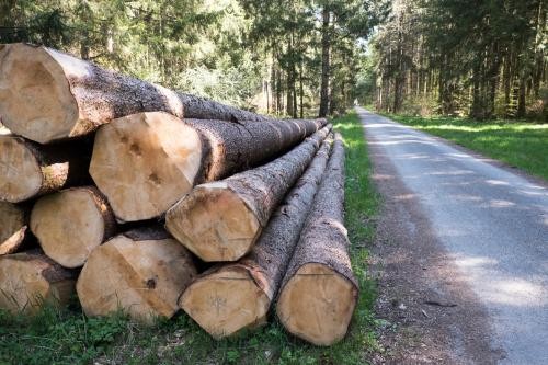 Flächenlosversteigerung Stadtwald Heidenheim Flächenlosversteigerung Stadtwald Heidenheim