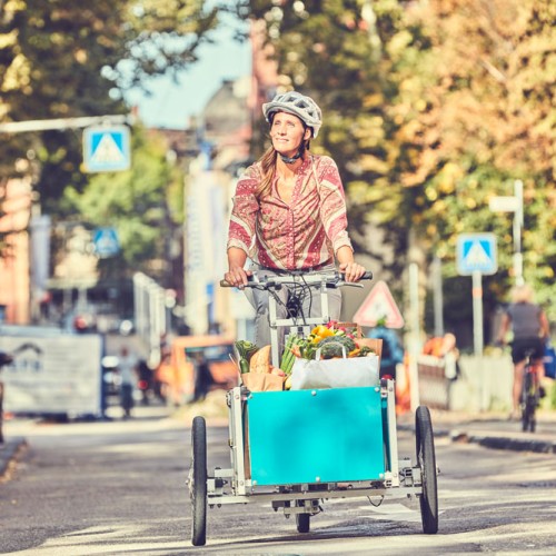 Das Cargobike ist ein Lastenrad - ein Fahrradtyp mit dem dank speziellen Konstruktionen kleinere Lasten sicher transportiert werden können. Foto: Ministerium für Verkehr Baden-Württemberg, Heiko Simayer