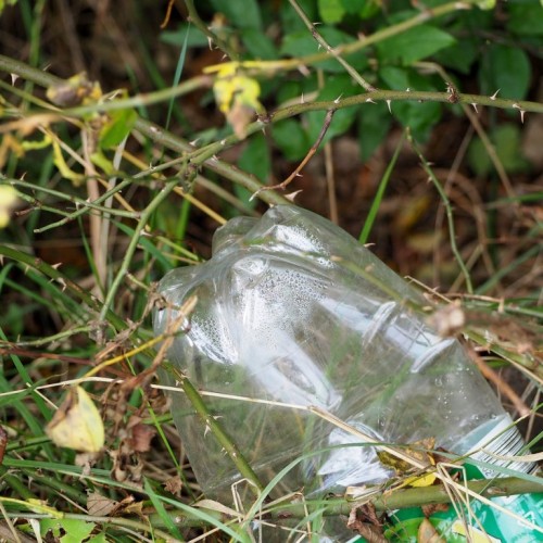 Plastikflasche - Müll in der Natur