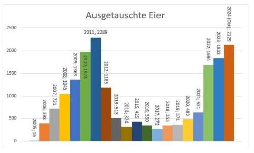 Ausgetauschte Eier Ausgetauschte Eier
