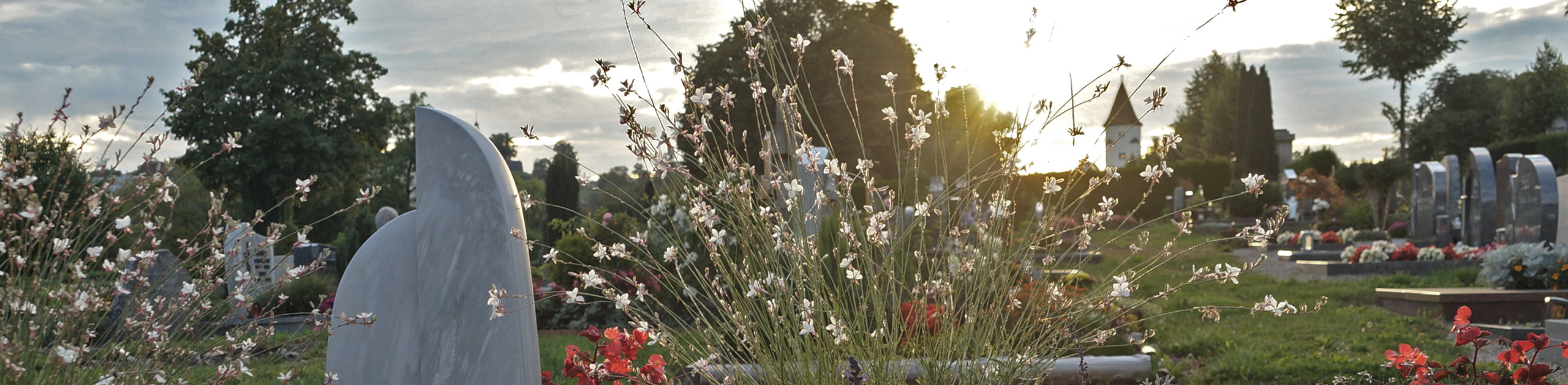 Alternativtext der Kopfgrafik (Bitte ausfüllen)