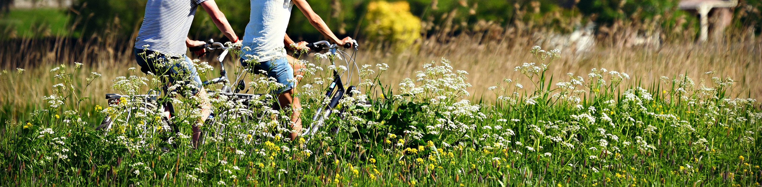 Radfahrer